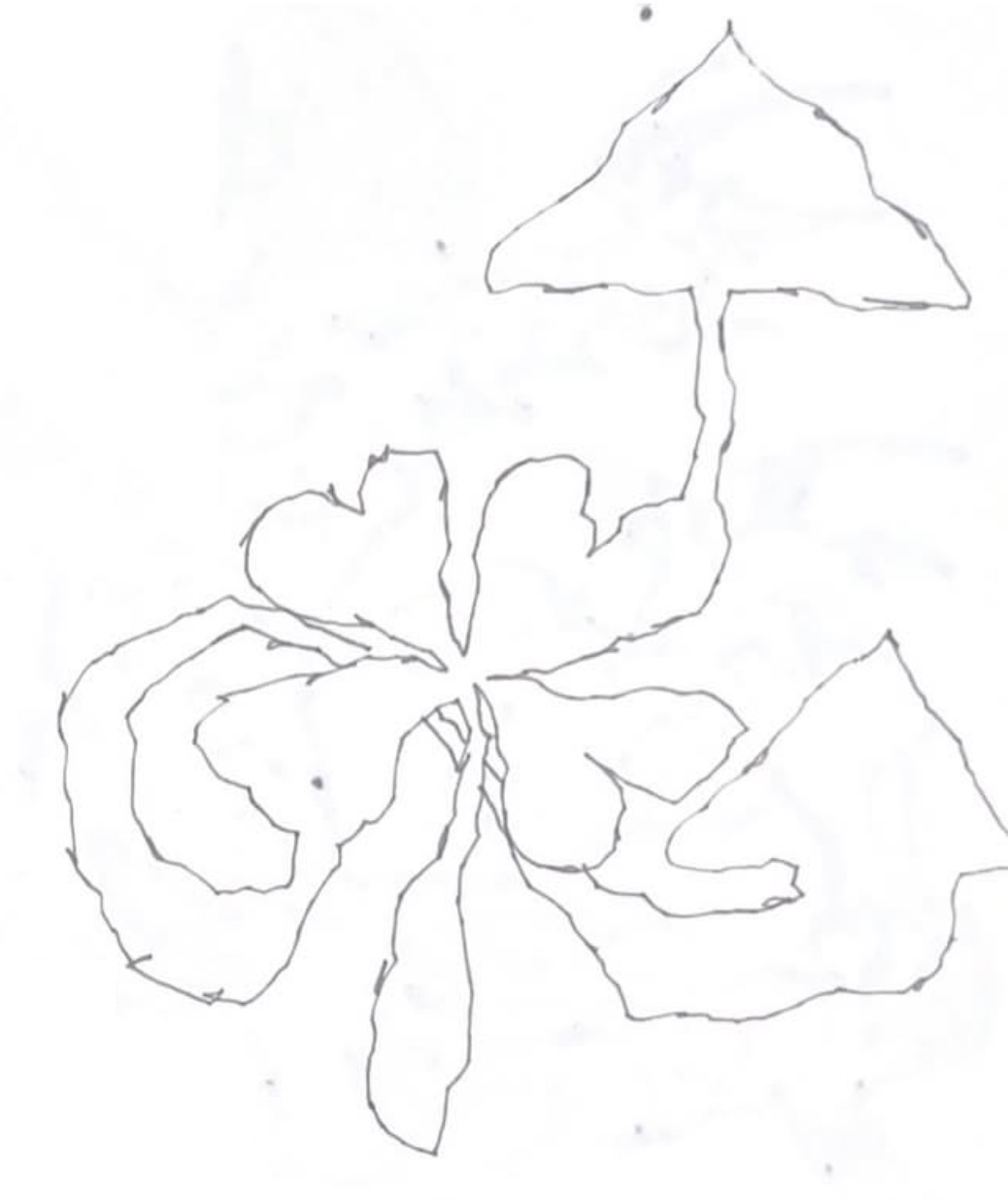62